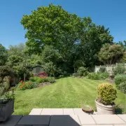 Neighbour's Tree Hanging Over Your Fence? Your Legal Rights Explained | UK Property Law