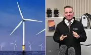Newcastle's Coastal Gem Under Threat: Port Stephens Braces for Massive Offshore Wind Farm