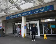 NHS Trials Groundbreaking AI Tool to Accelerate Hospital Discharges