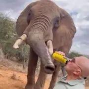 Outrage as Tourist Douses Sacred Mayan Statue in Beer at Mexican Temple
