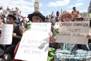 Palestine Action Activists Arrested in London as Government Considers Protest Ban