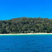 Paradise Lost? I Stayed on the 'Cursed' Island of Niue Where Locals Are Fleeing | Travel Warning