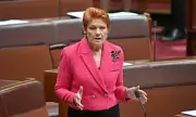 Pauline Hanson's One Nation in Turmoil: Senior Figure Warwick Stacey Resigns Amid Party Strife