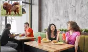 Paws for Thought: UK Restaurant's 'No Dogs' Policy Sparks Heated National Debate on Pet Etiquette