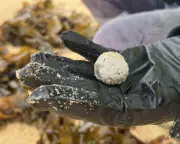 Penny Wong Condemns Netanyahu's Gaza Remarks as Australia-Israel Tensions Escalate | The Guardian