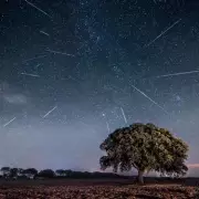 Perseid Meteor Shower 2024: When and Where to See 100 Shooting Stars Per Hour in the UK