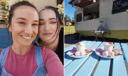 Perth's 'Old Soul' Cafe: Rosie the Staffy Becomes Canine Barista Sensation Brewing Community Joy