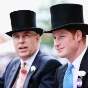 Prince Harry Denies Physical Altercation with Spare Co-Author – Explosive Claims Debunked