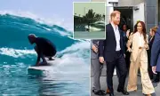 Prince Harry Faces Online Ridicule After Awkward Surfing Display with Meghan Markle in California