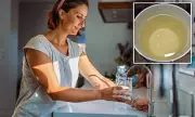 Residents Outraged as Tap Water in Ohio Cities Smells Like 'Mould and Pee'