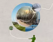 Revamping Australia’s Environmental Laws: A Crucial Step for Productivity and Nature