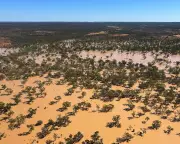 Rural Vets in Australia Struggle as Extreme Weather Worsens: A Crisis Unfolding