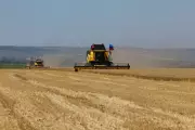 Russia Seizes Ukrainian Wheat Crops in Luhansk: A Blow to Global Food Security