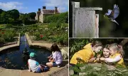 School's Natural Oasis: Magazine's Bold Call for Wildlife Ponds in Every Playground