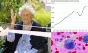 Scientists Discover 'Fountain of Youth' in White Blood Cells – Could This Be the Key to Living Longer?