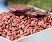 Scientists Discover the Secret to Perfect Chocolate – Cocoa’s Hidden Magic