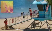 Scorching US Heatwave Alert: Record-Breaking Temperatures Grip West Coast from Washington to California