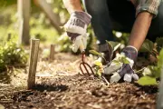 Second-Hand Garden Tools and Furniture: The Sustainable Trend Taking Over UK Gardens
