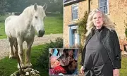 Sex Therapist Faces Restraining Order After Relentless Legal Campaign Against Ex-Landlord