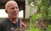 Shellharbour Flood Crisis: Homes Inundated, Residents Evacuated as Crooked Creek Bursts Banks