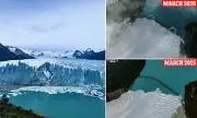 Shocking Collapse of Perito Moreno Glacier: A Stark Reminder of Climate Crisis