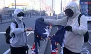Shocking Footage: Australian Flag Set Alight in Pro-Palestine Protest – Outrage Erupts