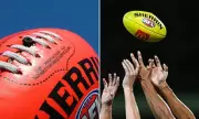 Shocking Hot Mic Blunder: AFL Commentator's X-Rated Rant About Genitalia Goes Viral