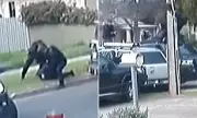 Shocking Machete Carjacking Caught on CCTV in Adelaide Suburb | Daily Mail