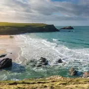 Shocking Moment Children Chase Sheep Off Cliff in Cornwall - Disturbing Footage Emerges