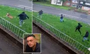 Shocking Moment Dog Walker Chased by Masked Gang Before Fatal Stabbing in London Street