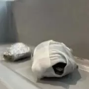 Shocking Moment Passenger Caught Filming Woman in Plane Toilet – Airline Takes Swift Action