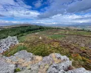 Somerset's Scent of Success: How a Fragrant Floodplain is Breathing Life Back into the Countryside