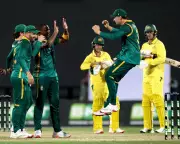 South Africa Demolish Australia in ODI Series Decider with Commanding 84-Run Victory