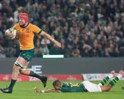 South Africa Stuns Australia in Thrilling Rugby Championship Clash