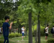 South Korea Tightens Grip on Google Maps: New Restrictions on Geographic Data