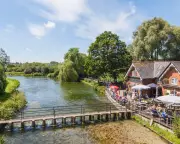 Southern Water Seeks to Extract Water from Rare Chalk Stream in Hampshire Amid Drought Fears