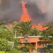 Spain Wildfires: Latest Updates as Blazes Rage Across Tenerife and Canary Islands