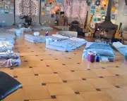 Spanish Authorities Crack Down on Illegal Ayahuasca and Toad Poison at Spiritual Retreats