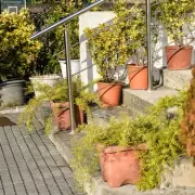 Stop Damp & Leaks on Your Patio: Expert Tips to Protect Your Home