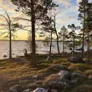 Summer in Lapland: A Magical Finnish Holiday Beyond the Northern Lights