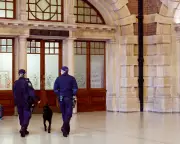 Sydney Airport Brawl Suspect Re-Arrested After Alleged Assault at Central Station