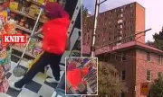 Sydney Shop Raid Turns Deadly: Knife-Wielding Thief Dies Fleeing Police After Cash Register Heist