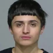 Teen's Accidental Gunshot Through Ceiling Sparks Safety Fears in US Home