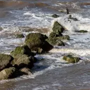 Teens Make Grim Discovery: Human Remains Found on UK Beach