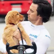 The Art of Racing in the Rain Escapes Netflix UK: Where to Stream the Heartwarming Dog Drama Now