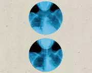 The Hidden Health Hazard: How Correct Swallowing Could Save Your Life, According to Experts