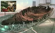 The Jesus Boat: Ancient Galilee Fishing Vessel Rewrites Biblical History | Exclusive Daily Mail Investigation