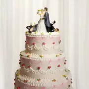 The Rise of Serial Wedding Enthusiasts: Why Some Can't Stop Tying the Knot