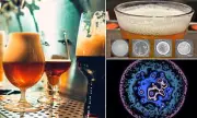 The Scientific Secret to the Perfect Pint: Physicists Reveal How to Avoid a Flat Head