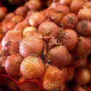 The Surprising Place You Should Never Store Onions – And Where to Keep Them Fresh